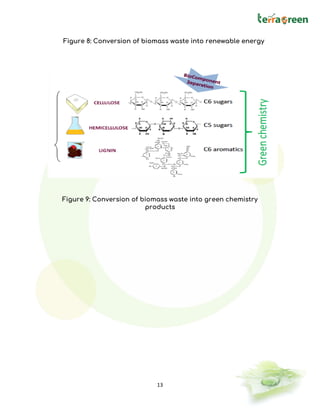 13
Figure 8: Conversion of biomass waste into renewable energy
Figure 9: Conversion of biomass waste into green chemistry
products
 