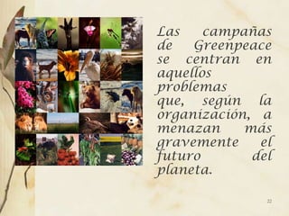 Las    campañas
de   Greenpeace
se centran en
aquellos
problemas
que, según la
organización, a
menazan     más
gravemente    el
futuro       del
planeta.

               22
 