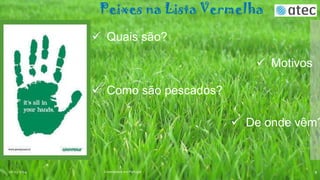 Peixes na Lista Vermelha
 Quais são?
 Motivos
 Como são pescados?

 De onde vêm?

06-03-2014

Greenpeace em Portugal

9

 