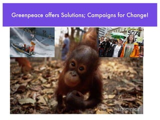 Greenpeace offers Solutions; Campaigns for Change!