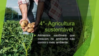 4°- Agricultura
sustentável
 Alimentos saudáveis que
crescem no ambiente não
contra o meio ambiente.
 