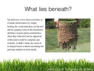 John Quinn Turfgrass Academy
What lies beneath?
Up until now we've discovered how to
evaluate performance by simply
lookin...