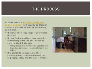 THE PROCESS
In most cases, a Brevard County pest
control company will usually go through
a careful process as they’re evaluating
your home.
It star ts when they inspect your home
& proper ty.
If they find a problem, they begin by
eliminating what the pest needs to
sur vive: food & shelter.
This process may mean home updates like
installing screens or repairing holes in the
siding.
If a pesticide is necessar y, they
choose products with a minimal risk
to people, pets, and the environment.