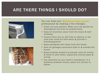 ARE THERE THINGS I SHOULD DO?
You can help your Melbourne pest control
professional by making a few changes.
C l e a n o u t yo u r g u t te r s . M a ke s u r e t h e g u t te r s &
d o w n s p o ut s a r e c l e a r & u n o b s t r uc te d .
Ke e p a l l b r a n c h e s aw ay f r o m t h e h o u s e & w e l l
trimmed.
Ensure there are no old tires or objects in the
ya r d t h a t c o u l d f i l l w i t h w a te r & p r o v i d e a
breeding ground.
Ke e p w o o d p i l e s w e l l aw ay f r o m t h e h o u s e .
Seal all garbage containers both in & outside the
house.
Ke e p w i n d o w s p r o p e r l y s c r e e n e d , s e a l a l l c r a c k s
& h o l e s i n yo u r h o m e , e s p e c i al l y a r o u n d p i p e s &
wiring.
P ay a t te n t i o n to yo u r h o m e ’ s f o u n d a t i o n . I f a
m o i s t ur e p r o b l e m o c c ur s , p e s t s a r e c e r t a i n to
f o l l ow.