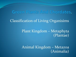 Classification of Living Organisims
Plant Kingdom – Metaphyta
(Plantae)
Animal Kingdom – Metazoa
(Animalia)
 