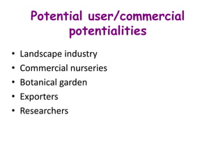 Potential user/commercial
potentialities
• Landscape industry
• Commercial nurseries
• Botanical garden
• Exporters
• Researchers
 