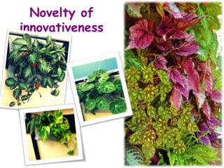 Novelty of
innovativeness
 