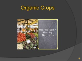 Organic Crops 1 