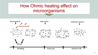 How Ohmic heating effect on
microorganisms
18
 