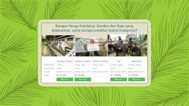 jual hewan kurban sapi murah bandung
