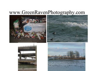 www.GreenRavenPhotography.com 