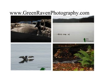 www.GreenRavenPhotography.com 