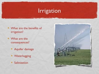 Irrigation

What are the benefits of
irrigation?

What are the
consequences?

  Aquifer damage

  Waterlogging

  Salinization
 