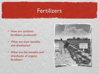 Fertilizers


How are synthetic
fertilizers produced?

What are their benefits
and drawbacks?

What are the benefits and
drawbacks of organic
fertilizers
 