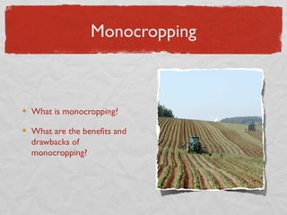 Monocropping



What is monocropping?

What are the benefits and
drawbacks of
monocropping?
 