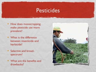 Pesticides

How does monocropping
make pesticide use more
prevalent?

What is the difference
between insecticide and
herbicide?

Selective and broad-
spectrum?

What are the benefits and
drawbacks?
 