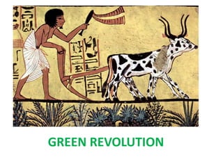 GREEN REVOLUTION
 