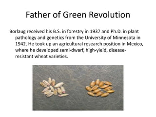 Father of Green Revolution
Borlaug received his B.S. in forestry in 1937 and Ph.D. in plant
pathology and genetics from the University of Minnesota in
1942. He took up an agricultural research position in Mexico,
where he developed semi-dwarf, high-yield, disease-
resistant wheat varieties.
 