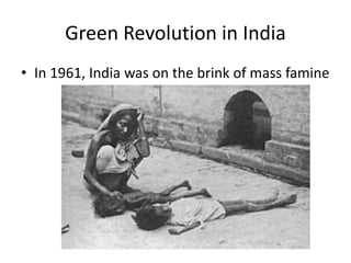 Green Revolution in India
• In 1961, India was on the brink of mass famine
 