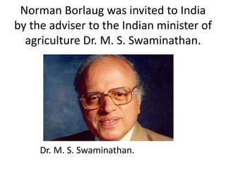 Norman Borlaug was invited to India
by the adviser to the Indian minister of
agriculture Dr. M. S. Swaminathan.
Dr. M. S. Swaminathan.
 