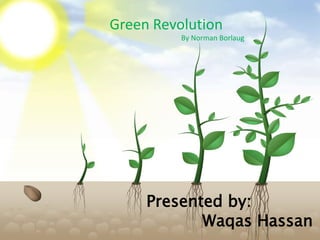 Green Revolution
By Norman Borlaug
Presented by:
Waqas Hassan
 