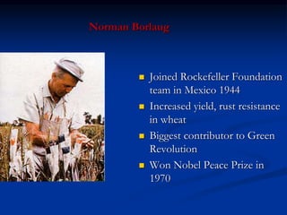 Norman Borlaug
 Joined Rockefeller Foundation
team in Mexico 1944
 Increased yield, rust resistance
in wheat
 Biggest contributor to Green
Revolution
 Won Nobel Peace Prize in
1970
 