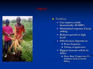 Inputs
 Fertilizer
 Can improve yields
dramatically: 20-1000%
 Diminished response if keep
adding
 Reduces growth at high
levels
 Effectiveness depends on
 Water/Irrigation
 Timing of application
 Biggest increase will be in
Africa
 Dem. Rep. Congo uses 1%
fertilizer used in South
Africa
 