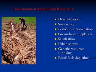 Destruction of Agricultural Resources
 Desertification
 Soil erosion
 Pesticide contamination
 Groundwater depletion
 Salinization
 Urban sprawl
 Genetic resources
shrinking
 Fossil fuels depleting
 
