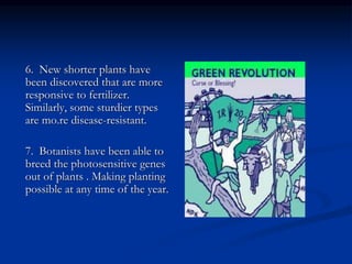 6. New shorter plants have
been discovered that are more
responsive to fertilizer.
Similarly, some sturdier types
are mo.re disease-resistant.
7. Botanists have been able to
breed the photosensitive genes
out of plants . Making planting
possible at any time of the year.
 