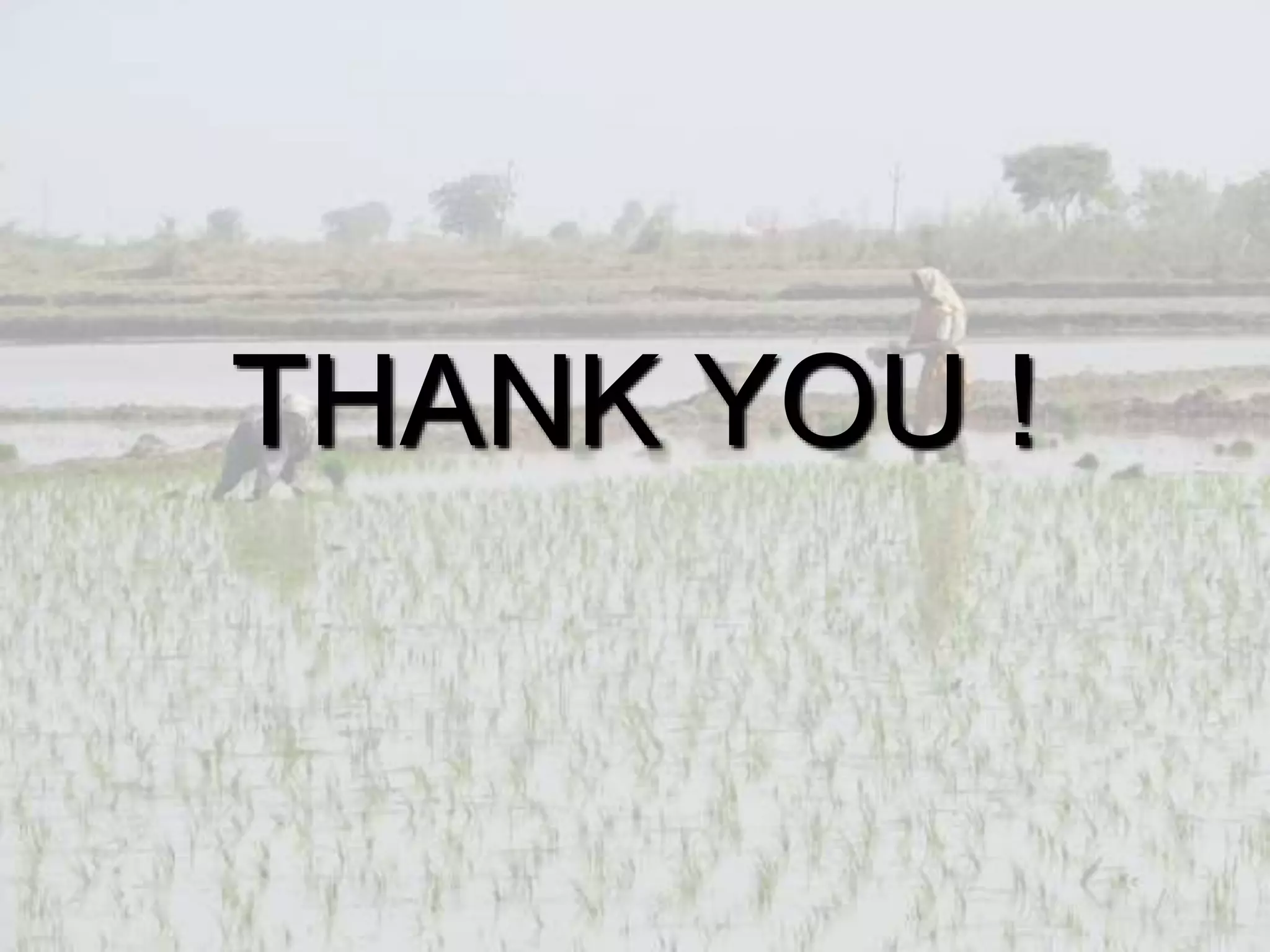 Green Revolution 1 Pptx