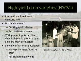 High yield crop varieties (HYCVs)
• International Rice Research
Institute, IRRI
• IR8 “miracle seed”
– Cooking quality issues
– Pest resistance issues
• With proper inputs (fertilizer,
chemicals) could produce up to
5x more grain per hectare
• Semi dwarf varieties developed
– More plant mass found in
grain
– Resistant to high winds
Distribution plant for IR8 in Africa
 