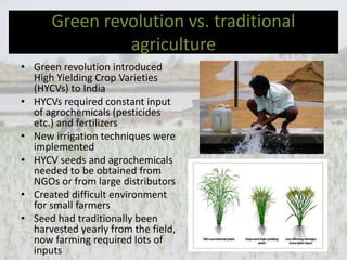 Green revolution vs. traditional
agriculture
• Green revolution introduced
High Yielding Crop Varieties
(HYCVs) to India
• HYCVs required constant input
of agrochemicals (pesticides
etc.) and fertilizers
• New irrigation techniques were
implemented
• HYCV seeds and agrochemicals
needed to be obtained from
NGOs or from large distributors
• Created difficult environment
for small farmers
• Seed had traditionally been
harvested yearly from the field,
now farming required lots of
inputs
 