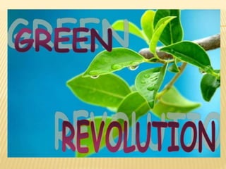 Green revolution in pakistan A Presentation By Mr Allah Dad Khan ...
