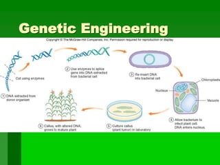Genetic Engineering
 