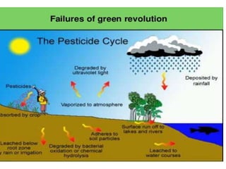 Green revolution ppt | PPTX
