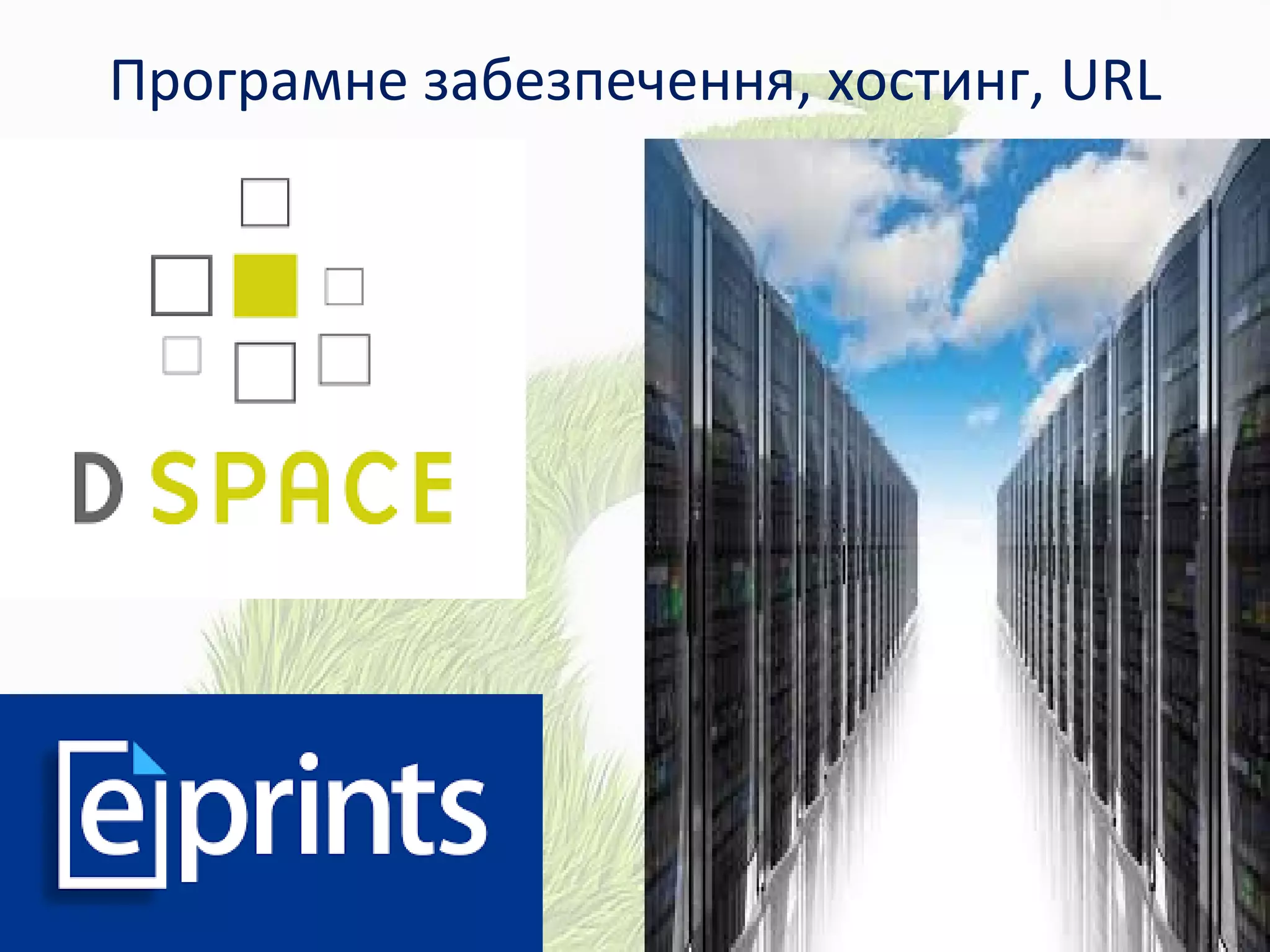 Програмне забезпечення, хостинг, URL
 