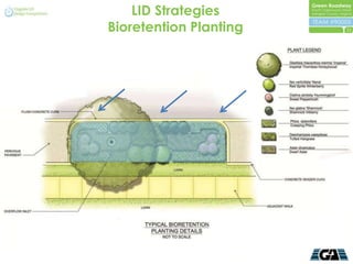 LID Strategies
Bioretention Planting   11
 