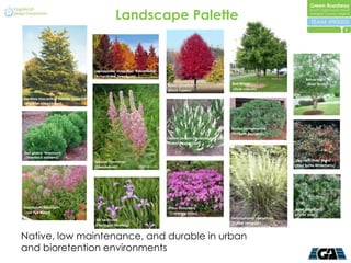 Landscape Palette
                                                                                                                                                                         9




                                           Liquidamber styraciflua ‘Rotundiloba’
                                           (Rotundiloba Sweetgum)
                                                                                                                                                    Betula nigra
                                                                                   Nyssa sylvatica                   Red Maple                      (River Birch)
                                                                                   (Black Tupelo)                    (Acer rubrum)

Gleditsia triacanthos inermis ‘Imperial’
(Imperial Honeylocust)




                                                                                                                     Myrica pensylvanica
                                                                                                                     (Northern Bayberry)
                                                                                   Clethra alnifolia ‘Hummingbird’
                                                                                   (Sweet Pepperbush)

Ilex glabra ‘Shamrock’
(Shamrock Inkberry)
                                           Spireae tomentosa                                                                                  Ilex verticillata ‘Nana’
                                           (Steeplebush)                                                                                      (Red Sprite Winterberry)




Eupatorium fistulosum                                                               Phlox stolonifera                                         Aster divaricatus
 (Joe Pye Weed)                                                                     (Creeping Phlox)                                          (Dwarf Aster)
                                                                                                                     Deschampsia caespitosa
                                           Iris versicolor
                                                                                                                     (Tufted Hairgrass)
                                           (Harlequin Blueflag)


Native, low maintenance, and durable in urban
and bioretention environments
 