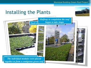 Installing the Plants The trays of plants were lowered onto the second story roof Each tray carried up to 36 planters The individual modules were pieced together to form a contiguous green roof Halfway to completion the roof began to take shape Municipal Building Green Roof Project 
