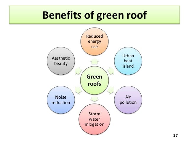 green roofs green roofs