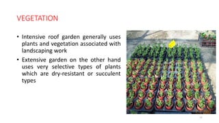 VEGETATION
• Intensive roof garden generally uses
plants and vegetation associated with
landscaping work
• Extensive garden on the other hand
uses very selective types of plants
which are dry-resistant or succulent
types
12
 