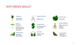 WHY GREEN WALLS?
19
Aesthetics
Create living
works of art.
Indoor Air Quality
Purify your air.
LEED® Credits
Gain points.
Building
Protection
Shield from sun,
rain and thermal
fluctuations.
Energy Savings
Cut electricity bills
by up to 20%.
Health & Wellness
Reduce stress and
enhance
wellbeing.
Property Value
Marketable
green feature.
Acoustics
Dampen noise
pollution.
Sustainability
Make your
world greener.
 