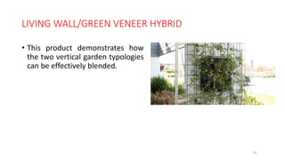 LIVING WALL/GREEN VENEER HYBRID
• This product demonstrates how
the two vertical garden typologies
can be effectively blended.
29
 