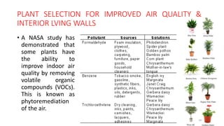 PLANT SELECTION FOR IMPROVED AIR QUALITY &
INTERIOR LVING WALLS
• A NASA study has
demonstrated that
some plants have
the ability to
improve indoor air
quality by removing
volatile organic
compounds (VOCs).
This is known as
phytoremediation
of the air.
34
 