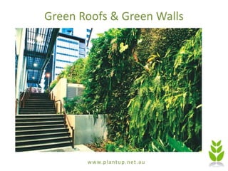 www.plantup.net.au
Green Roofs & Green Walls
 