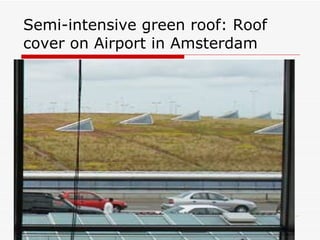 Semi-intensive green roof: Roof cover on Airport in Amsterdam 