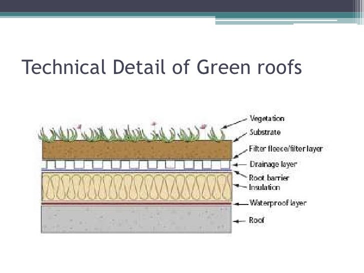 Sedum Roof Detail Graphic Courtesy Of Professional 