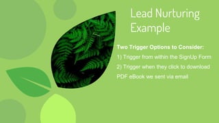 Lead Nurturing
Example
Two Trigger Options to Consider:
1) Trigger from within the SignUp Form
2) Trigger when they click to download
PDF eBook we sent via email
 