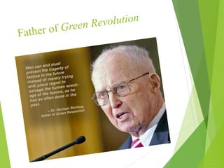 Green rvolution sam