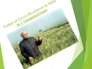Green rvolution sam